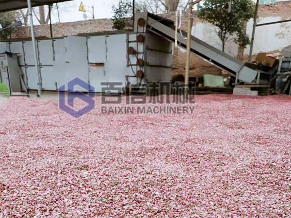 桃花烘干機設(shè)備案例